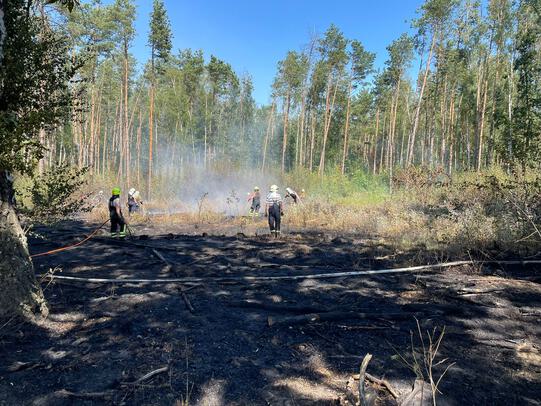 Einsatz #24  -B2- Waldbrand
